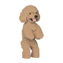 Chien Caniche Nain debout beige Taille standard | JEKCA | 14 ans et +