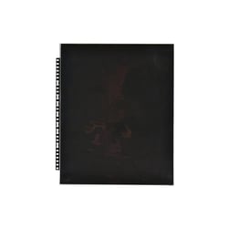 10 feuillets polypropylène 51x65 cm pour classeurs photos et book photo