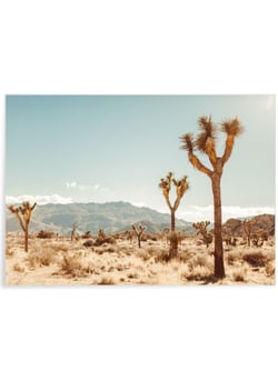 Poster Nature Desert 5 | A3 : 29,7x42cm