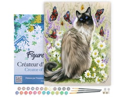 Peinture par Numéro Figured'Art avec Cadre - Découverte des papillons - Kit de Loisir Créatif DIY Numéro d'Art - 40x50cm toile tendue sur châssis