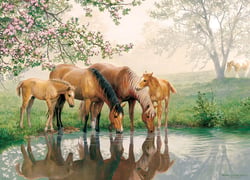 Puzzle 350 pièces - Pièces XXL - Horse Family - Cobble Hill