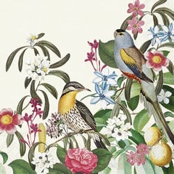 Lot de 4 serviettes en papier découpage collage 33 cm OISEAU EXOTIQUE O 100 XL