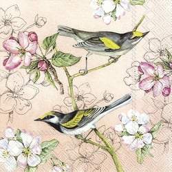 Lot de 4 serviettes en papier découpage collage 33 cm OISEAU FOND BEIGE O 440