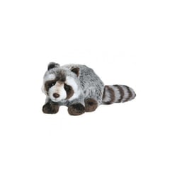 Raton laveur 25 cm - Anima