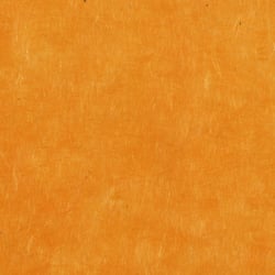 PAPERTREE 50*70 LOKTA PAPER Mango - Lot de 10 feuilles
