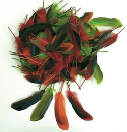 Plumes - Couleurs d'automne - 80 pièces