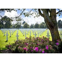 Puzzle 500 pièces Cimetière Americain - Alipson