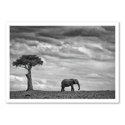 Affiche 30x40 cm - Elephant Landscape - Mario  Moreno