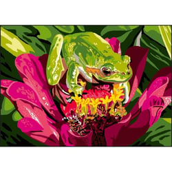 Princesse - Canevas antique Grenouille 32x50cm