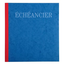 Piqûre 21x19cm échéancier tracé journal 80 pages - Couleurs assorties - x 5 - Exacompta