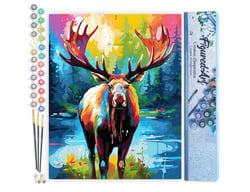 Peinture par Numéro Figured'Art - Orignal Coloré Abstrait - Kit de Loisir Créatif DIY Numéro d'Art Complet - 40x50cm sans châssis en bois