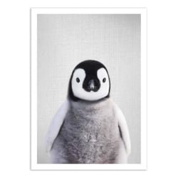 Affiche 30x40 cm - Baby penguin - Gal Design