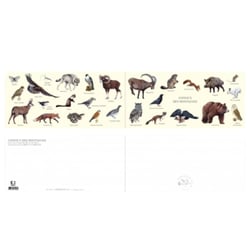 Longue vue editions - Animaux des montagnes - Carte double