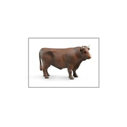 Taureau - Brun
