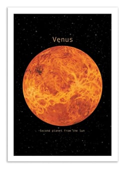 Affiche 30 x 40 cm - Venus - Terry Fan