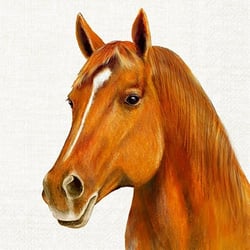 Lot de 4 serviettes en papier découpage collage 33 cm CHEVAL A 502