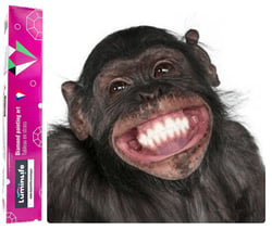 Diamond Painting Broderie Diamant LUMINLIFE 40x50cm, 100% strass, diamants ronds - Funny monkey
