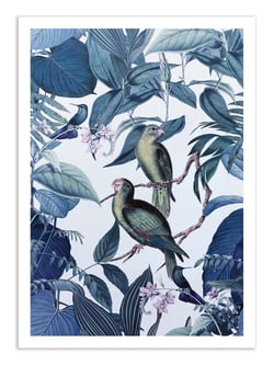 Affiche 30 x 40 cm - Jungle Parakeet Blue - Andrea Haase