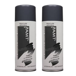 Lot de 2 sprays de peinture - ardoise - AMT