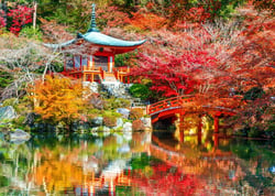 Puzzle 500 pièces - Temple Daigo-ji en Automne, Kyoto - Bluebird Puzzle