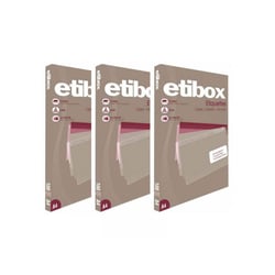 Lot de 3 boîtes 100 étiquettes n°1 Etibox Apli 119760