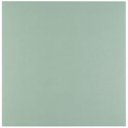 Carton en lin Florence - 100 feuilles - Iguana - 30,5 x 30,5 cm - 250 g/m²