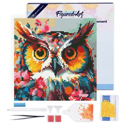 Mini Diamond Painting Broderie Diamant Figured’Art 25x25cm toile tendue sur châssis en bois - diamants ronds - Hibou Fantaisie et Fleurs