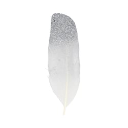 6 PLUMES ARGENTÉES - 11.5 CM