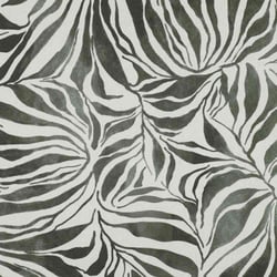 Tissu Toile Canvas Zebrana gris sur fond Blanc cassé - Au mètre