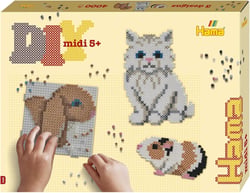 Boîte midi animaux de compagnie - Hama
