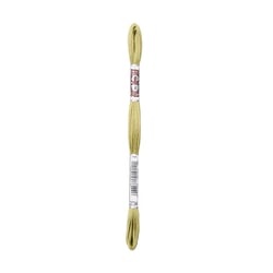 Fil à broder DMC - Coton Retors Mat - Vert cardamone 2734