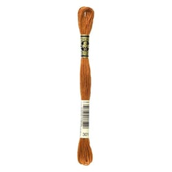 Fil à broder DMC - Mouliné spécial - Ecureuil métallisé n°301