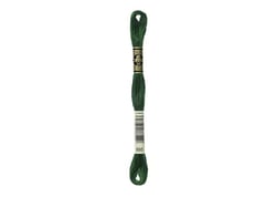 Fil à broder DMC - Mouliné spécial - Vert bouteille n°895