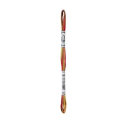 Fil à broder DMC - Mouliné Coloris - Érable 4510