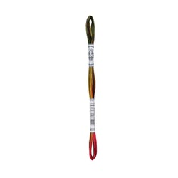 Fil à broder DMC - Mouliné Coloris - Été indien 4511