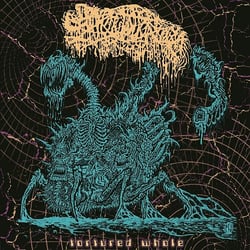 Tortured Whole - CD
