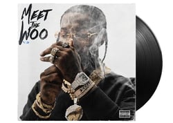 Meet the woo 2