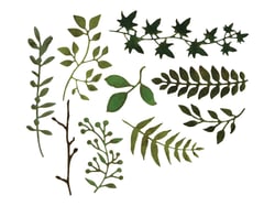 Sizzix - Matrice de découpe - herbes feuillages