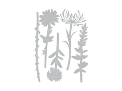 DIE FLEURS SAUVAGES2