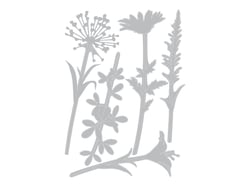 DIE FLEURS SAUVAGES3