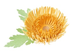 DIE Guirlande "chrysanthème"