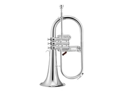 CC HS - BUGLE SIB PRO PLAQUE ARGENT XO