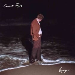 Voyager - Vinyle Marron