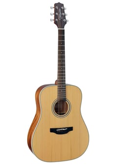Takamine G Series 20 GD20 - Guitare - Acoustique - Dreadnought