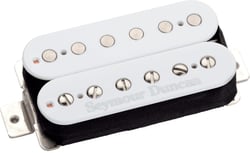 CC HS - DUNCAN DISTORTION, CHEVALET, B