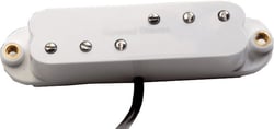 CC HS - DUCKBUCKERS STRAT, CHEVALET, B