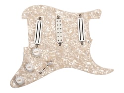 CC HS - D. MURRAY PICKGUARD PERLOID/BL