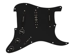 CC HS - DAVE MURRAY LOADED PICKGUARD N