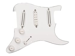 CC HS - DAVE MURRAY LOADED PICKGUARD B
