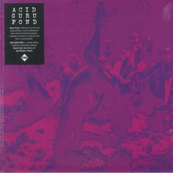 Acid Guru Pond